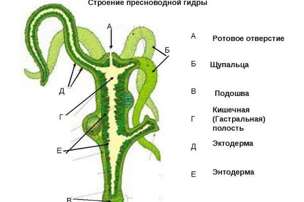 Кракен нар шоп